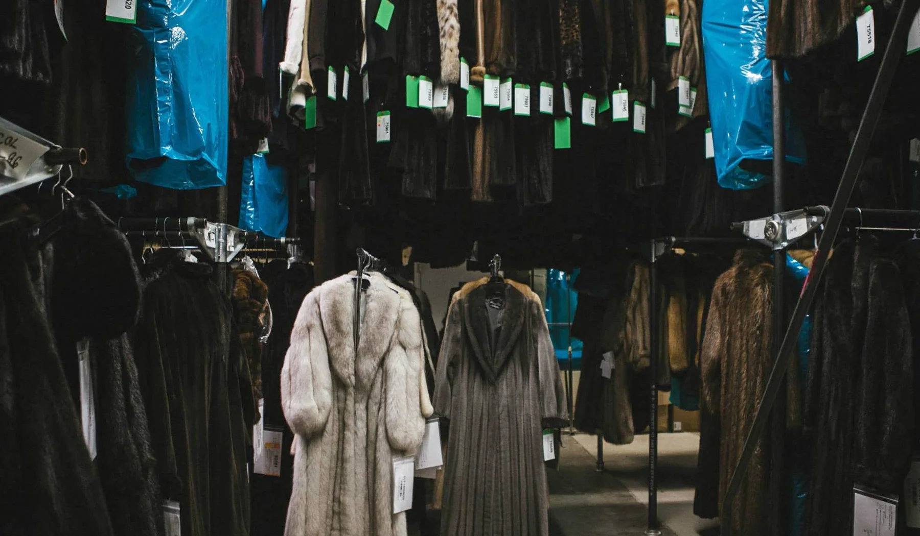 Illustration for the article "What the Rule Says (US): The Fur Products Labeling Act and FTC Fur Rules — What Must Appear on a Fur Garment Label" from Couture Furs & Jewelry