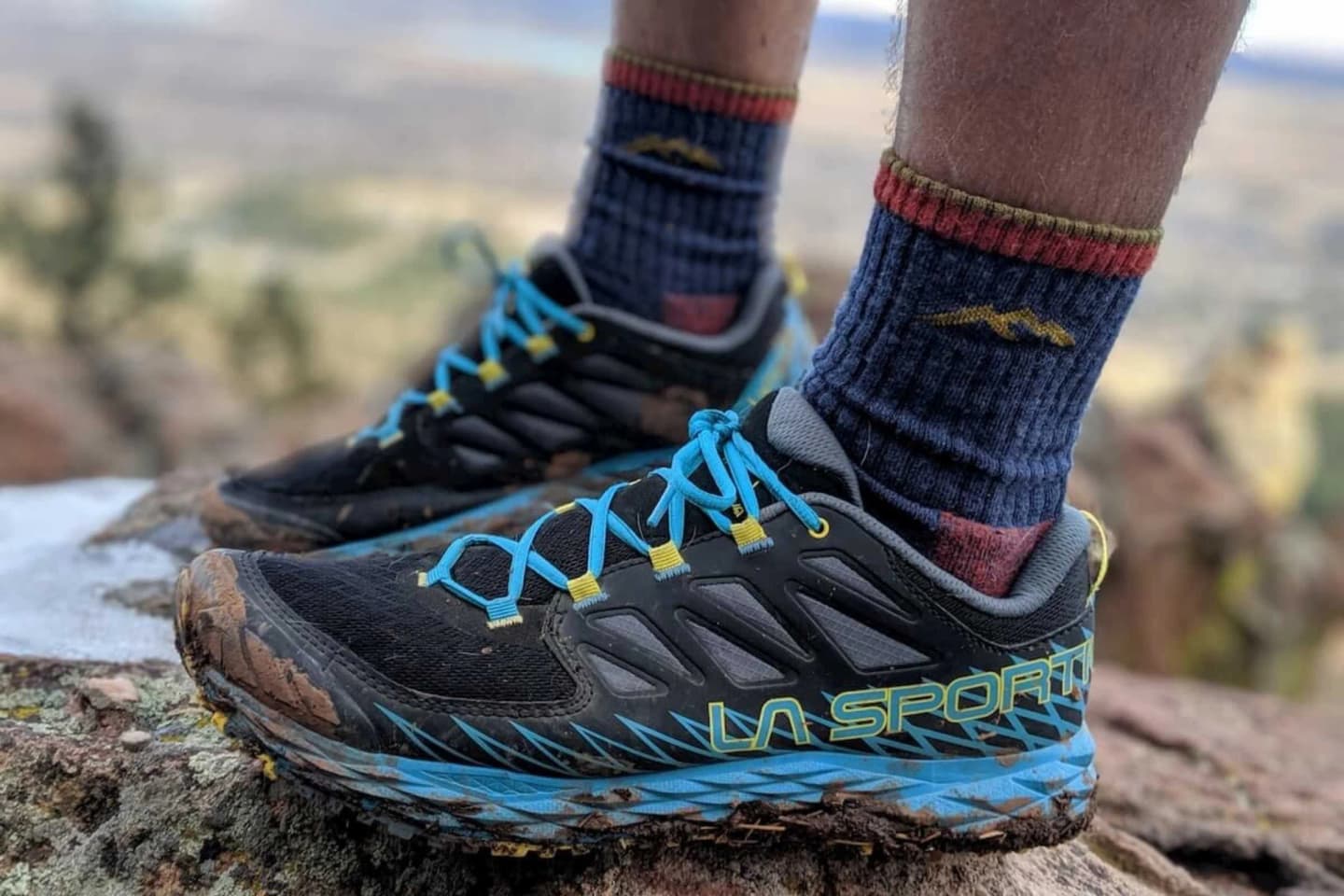Illustration for the article "What Coolmax Is: The Polyester Fiber in Darn Tough's Synthetic Socks, As the Brand Describes It" from Treeline Review