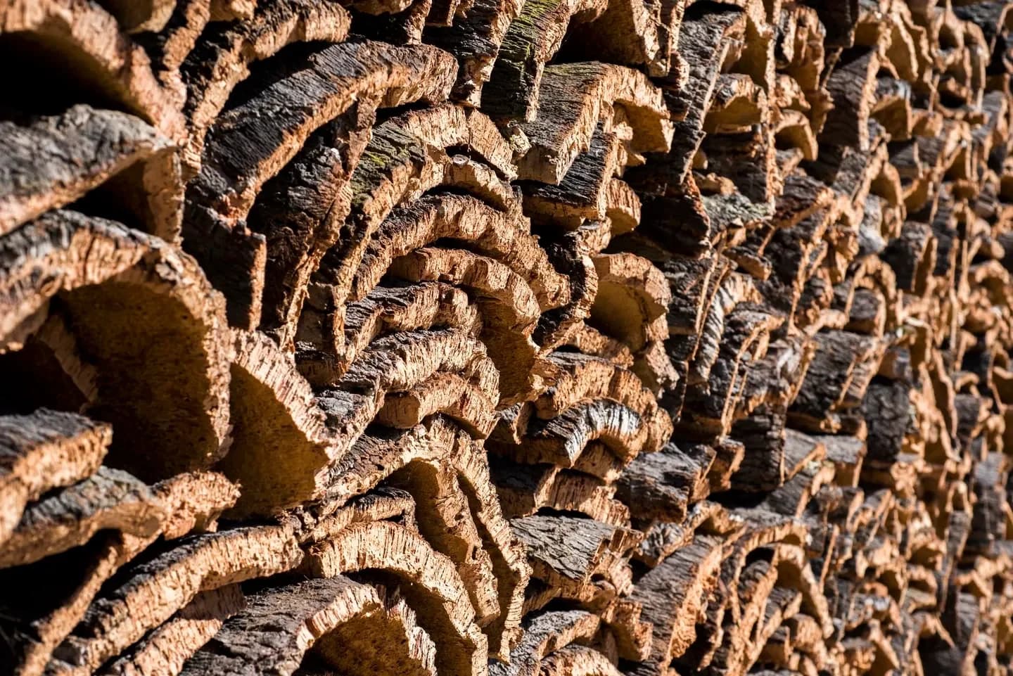 Illustration for the section "Materials the brand names — and its sourcing statement" from Natural Cork Council